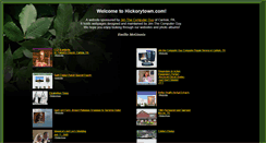 Desktop Screenshot of hickorytown.com